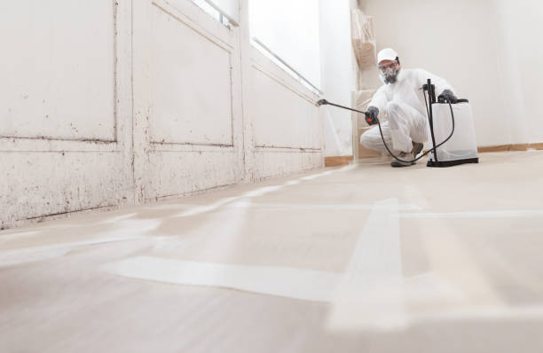 24/7 Emergency Mold Testing experts in Clifton, NJ