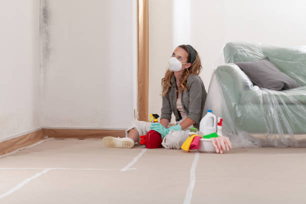 Reliable Mold Remediation contractor in Clifton, NJ by Cheap Mold Removal